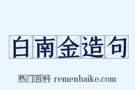 白南金造句是什么意思的图片